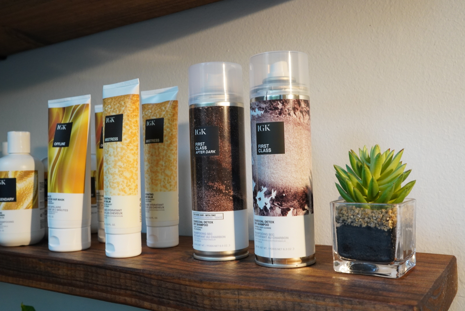 Hair care products and a small succulent on a wooden shelf.